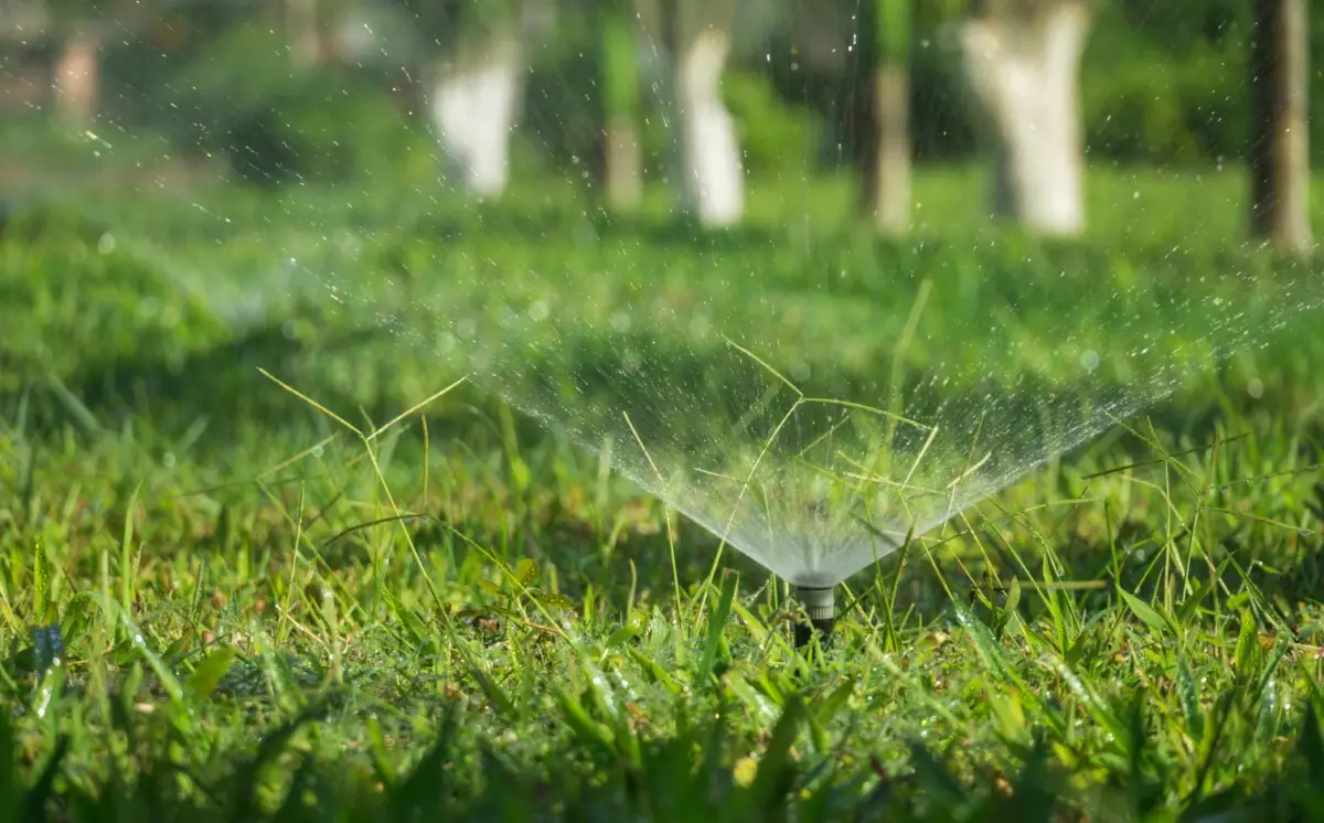 irrigation